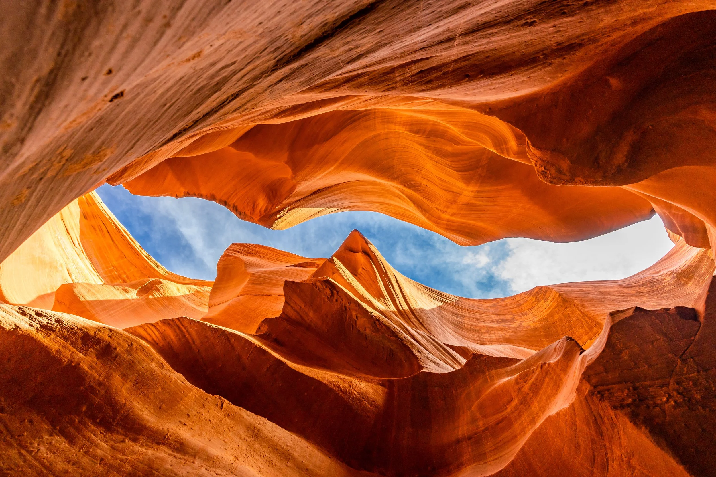 Bible in a Year | 5 Day Topical