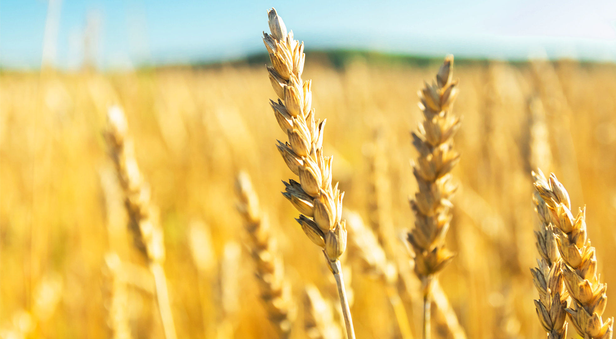 Songs & Laments | 22 Day