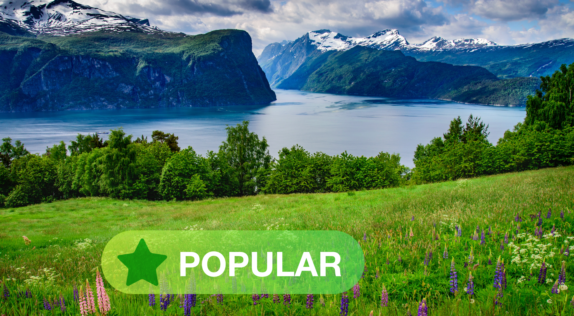 Bible in a Year | 7 Day Chronological