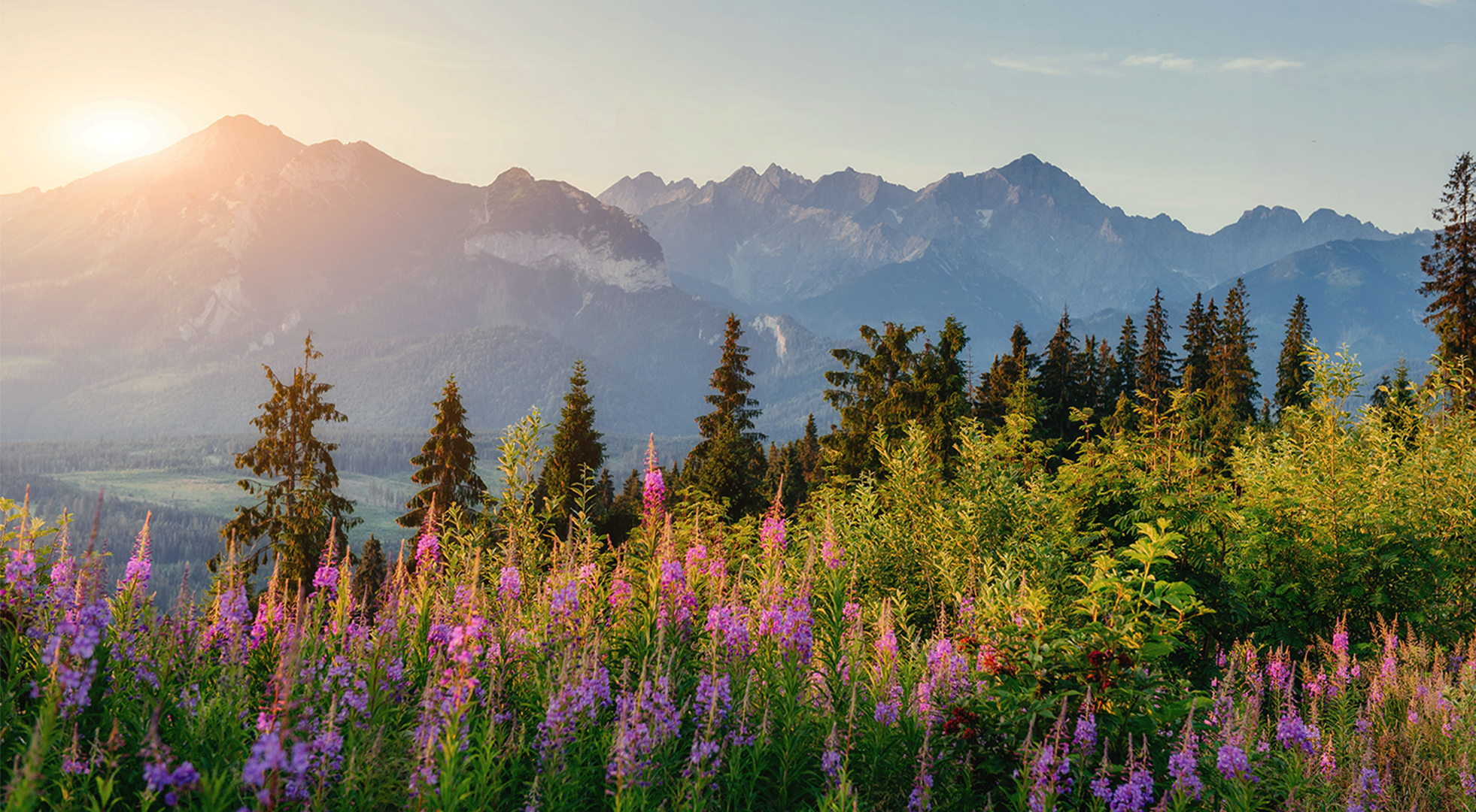 United & Divided Kingdom | 42 Day