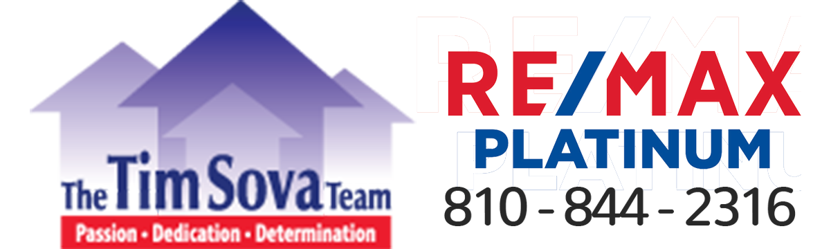 timsova logo.png
