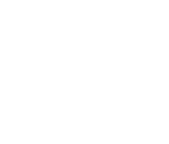 mayner leadership logo.png