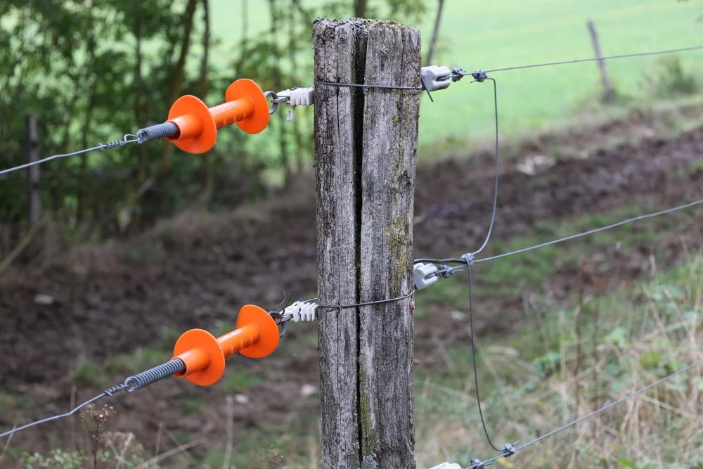 Electric-Fence-Agriculture.jpg