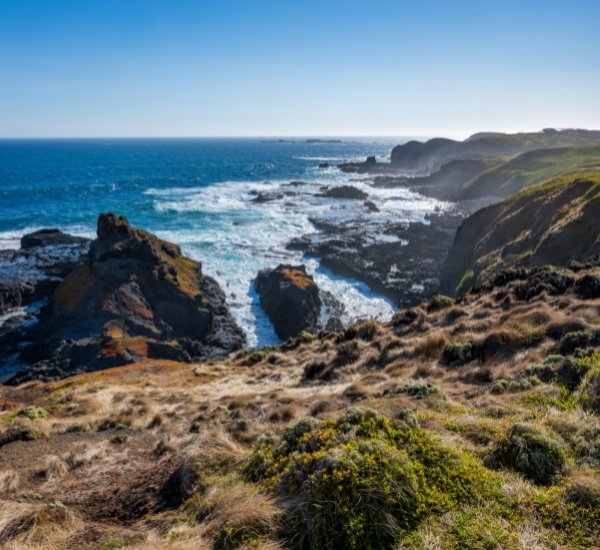 phillip island - 1.jpg