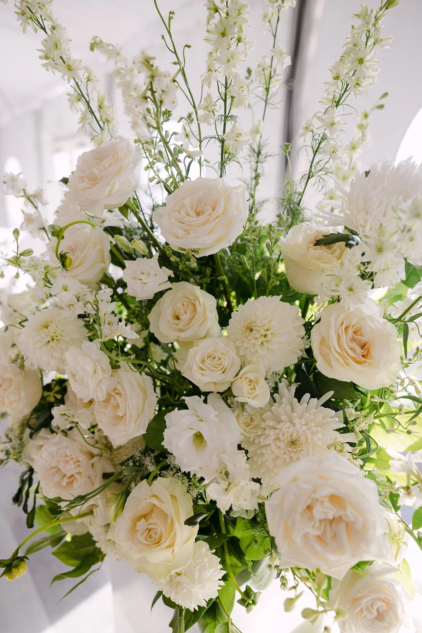 8C5A6072.jpg