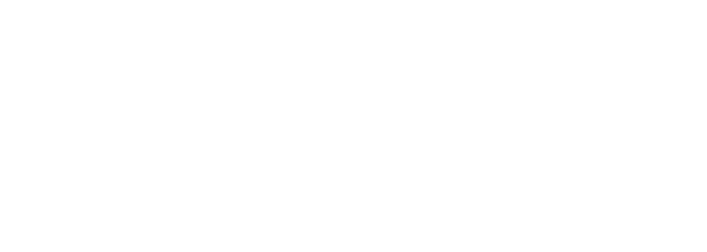 MS NAESTYLES