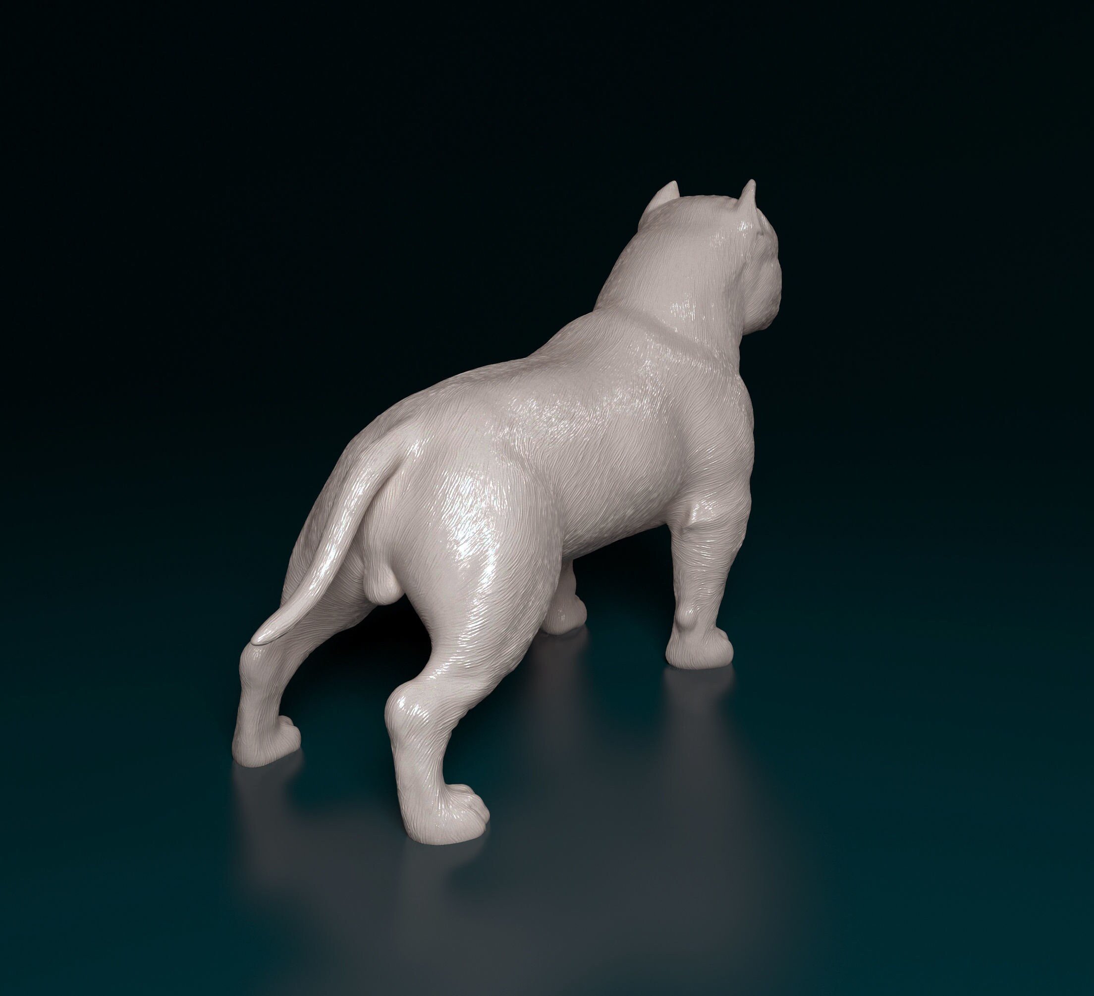 https://i.etsystatic.com/27000167/r/il/3da286/4296673769/il_fullxfull.4296673769_59mp.jpg