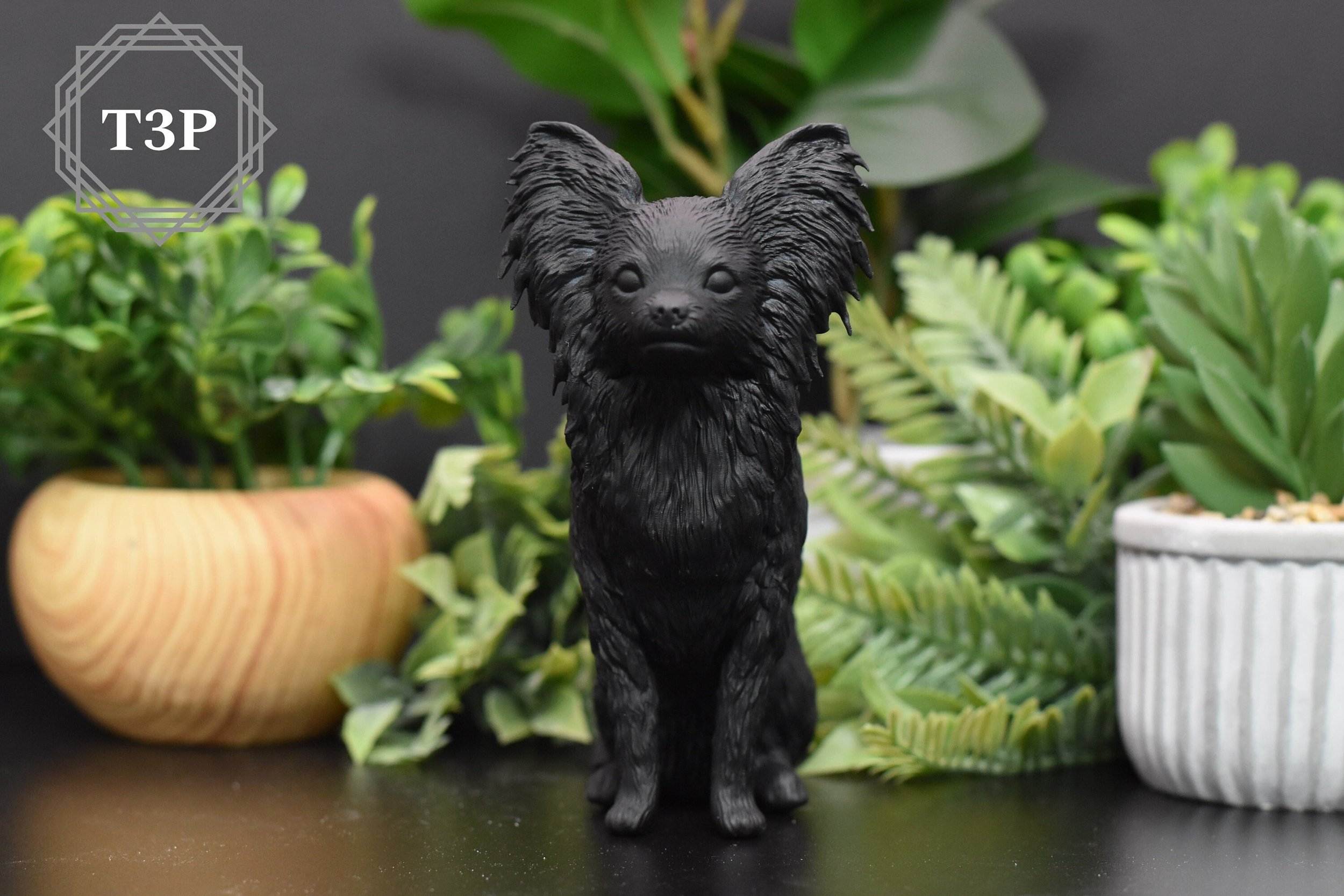 https://i.etsystatic.com/27000167/r/il/0eeaf5/4709942126/il_fullxfull.4709942126_hhcw.jpg