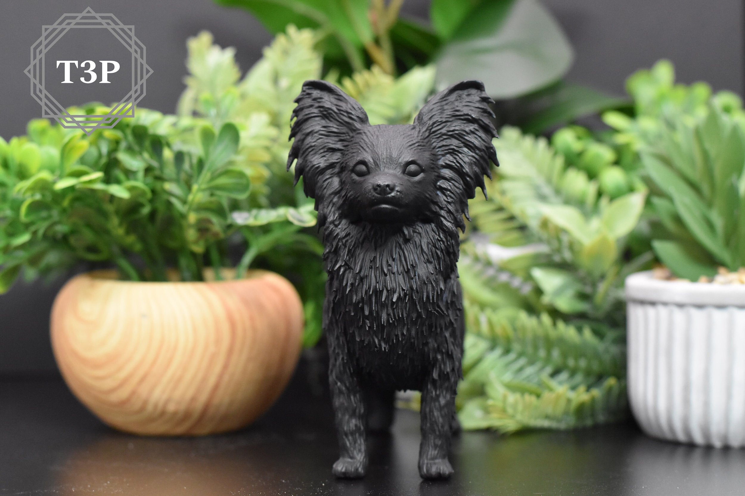 https://i.etsystatic.com/27000167/r/il/1827f2/4712941228/il_fullxfull.4712941228_ae3p.jpg