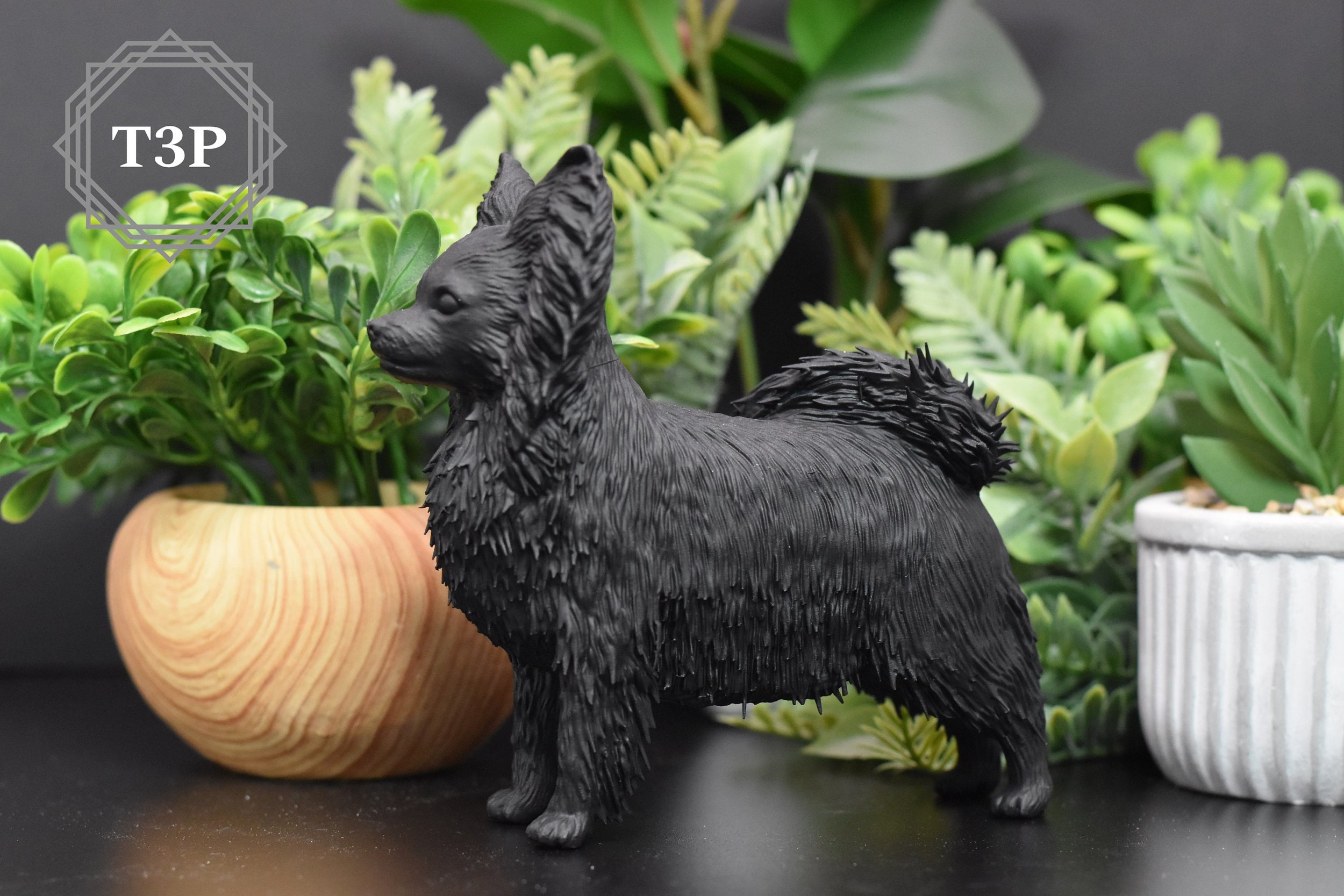 https://i.etsystatic.com/27000167/r/il/51de72/4761188585/il_fullxfull.4761188585_rnof.jpg