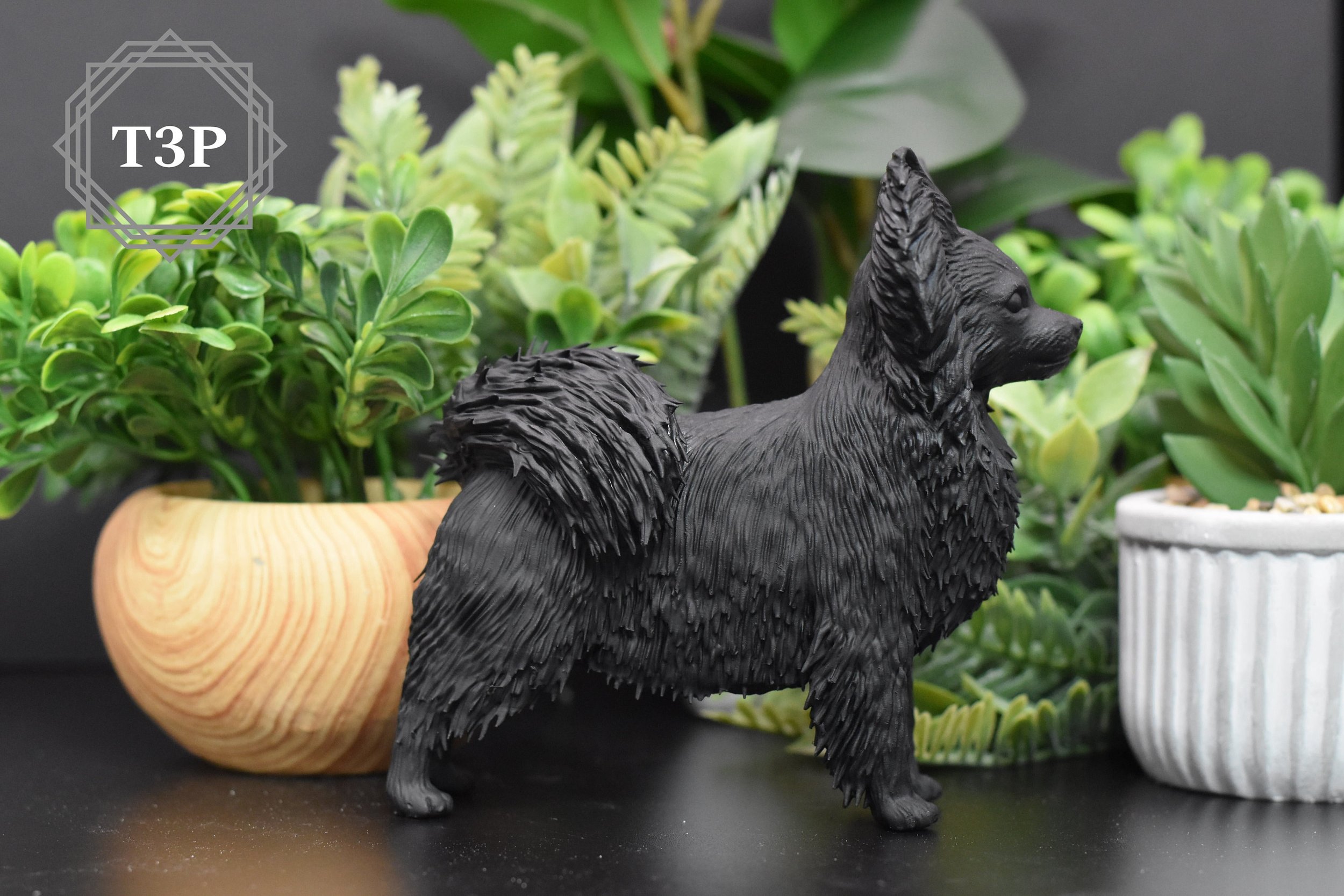 https://i.etsystatic.com/27000167/r/il/93e932/4761188587/il_fullxfull.4761188587_6jy5.jpg
