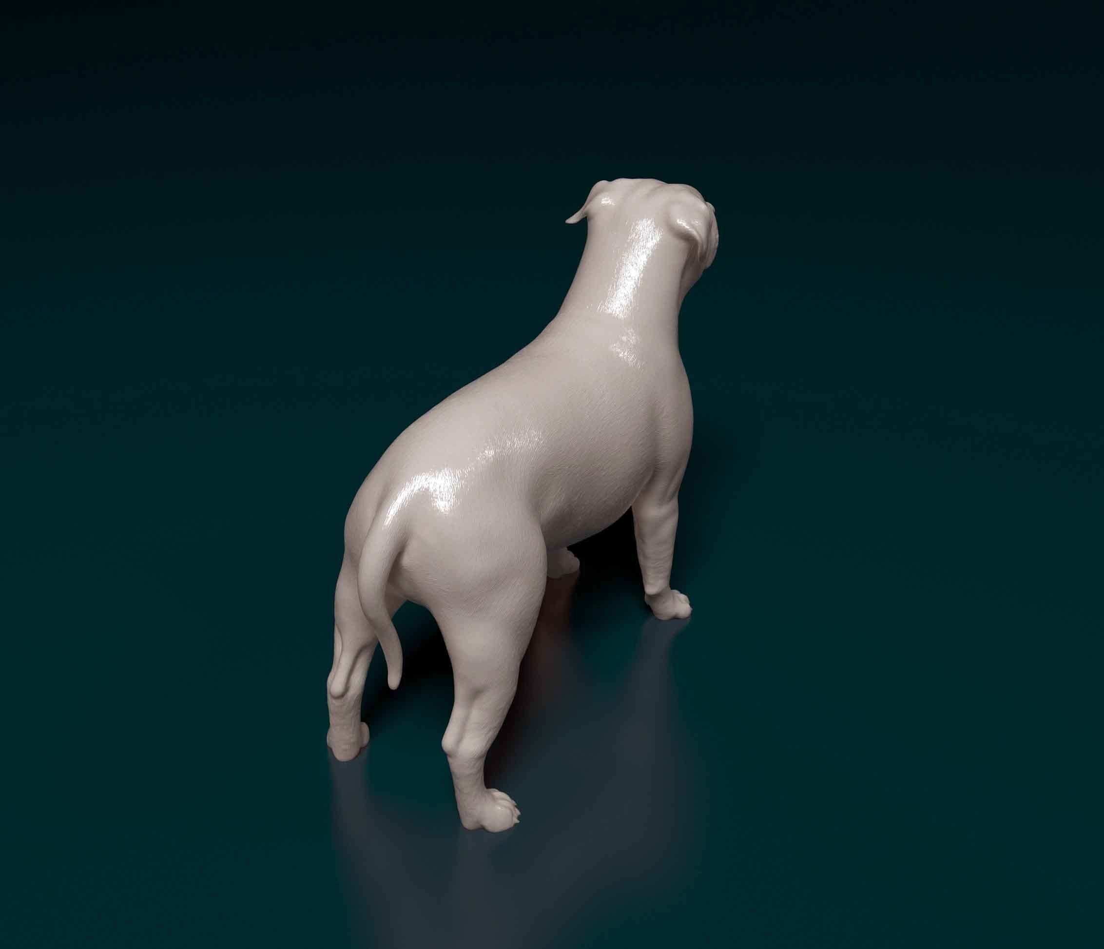 https://i.etsystatic.com/27000167/r/il/169002/6008523185/il_fullxfull.6008523185_knk8.jpg