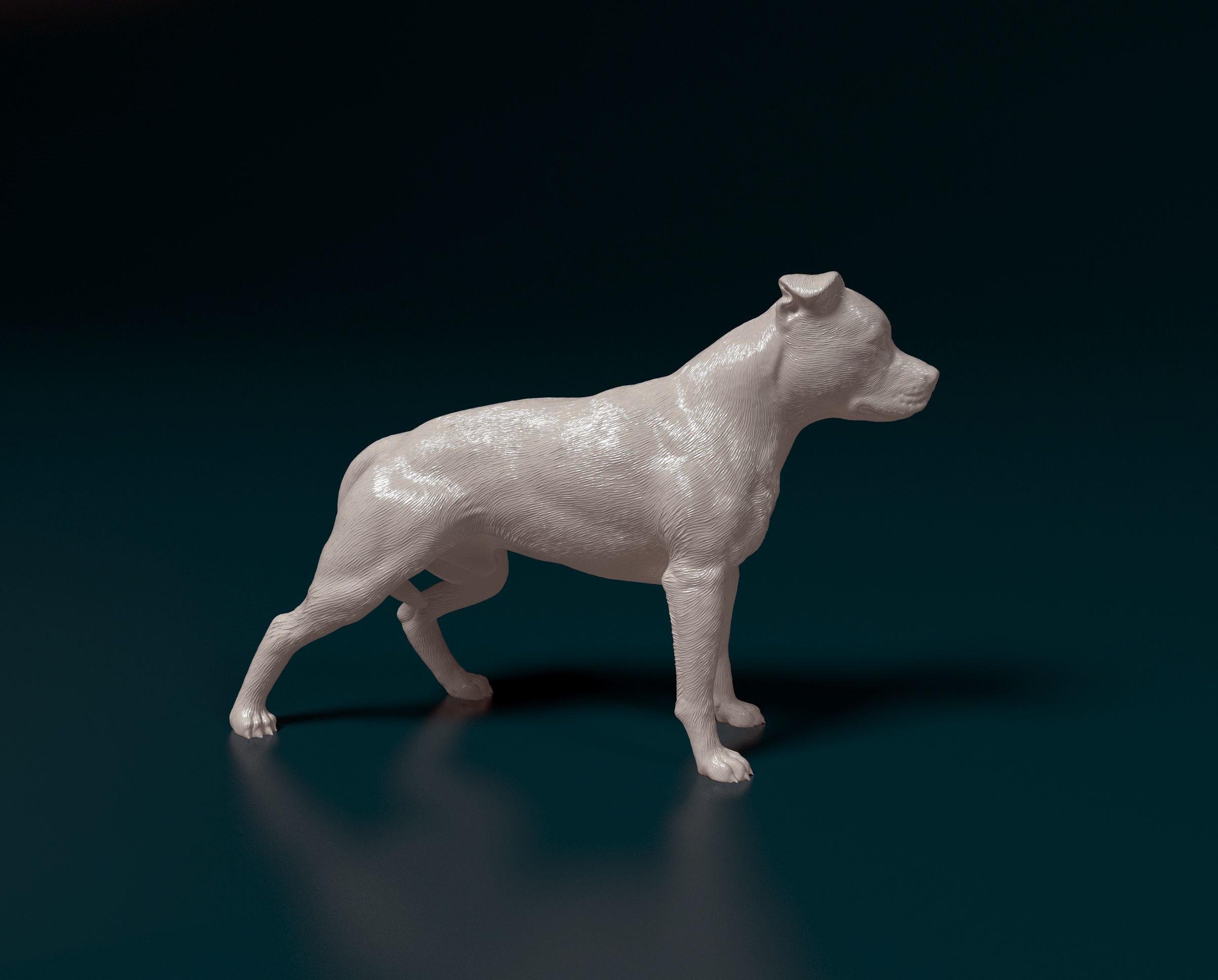 https://i.etsystatic.com/27000167/r/il/0c6a3d/6179284006/il_fullxfull.6179284006_1z36.jpg