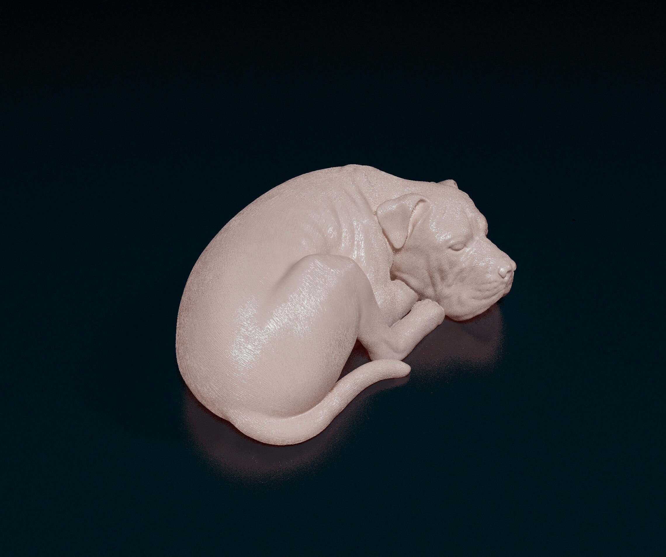 https://i.etsystatic.com/27000167/r/il/5bf7ec/6008542729/il_fullxfull.6008542729_hstx.jpg