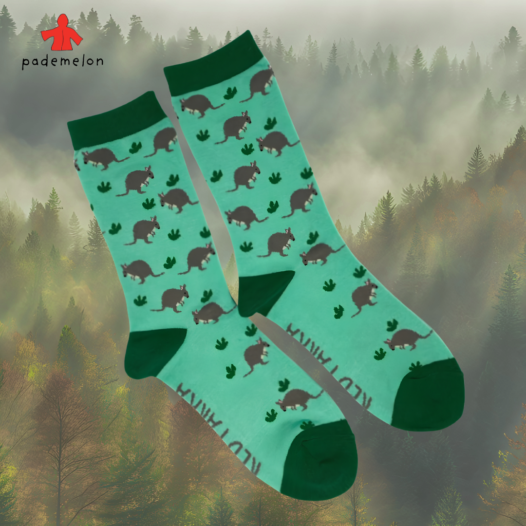 socks paddy.png