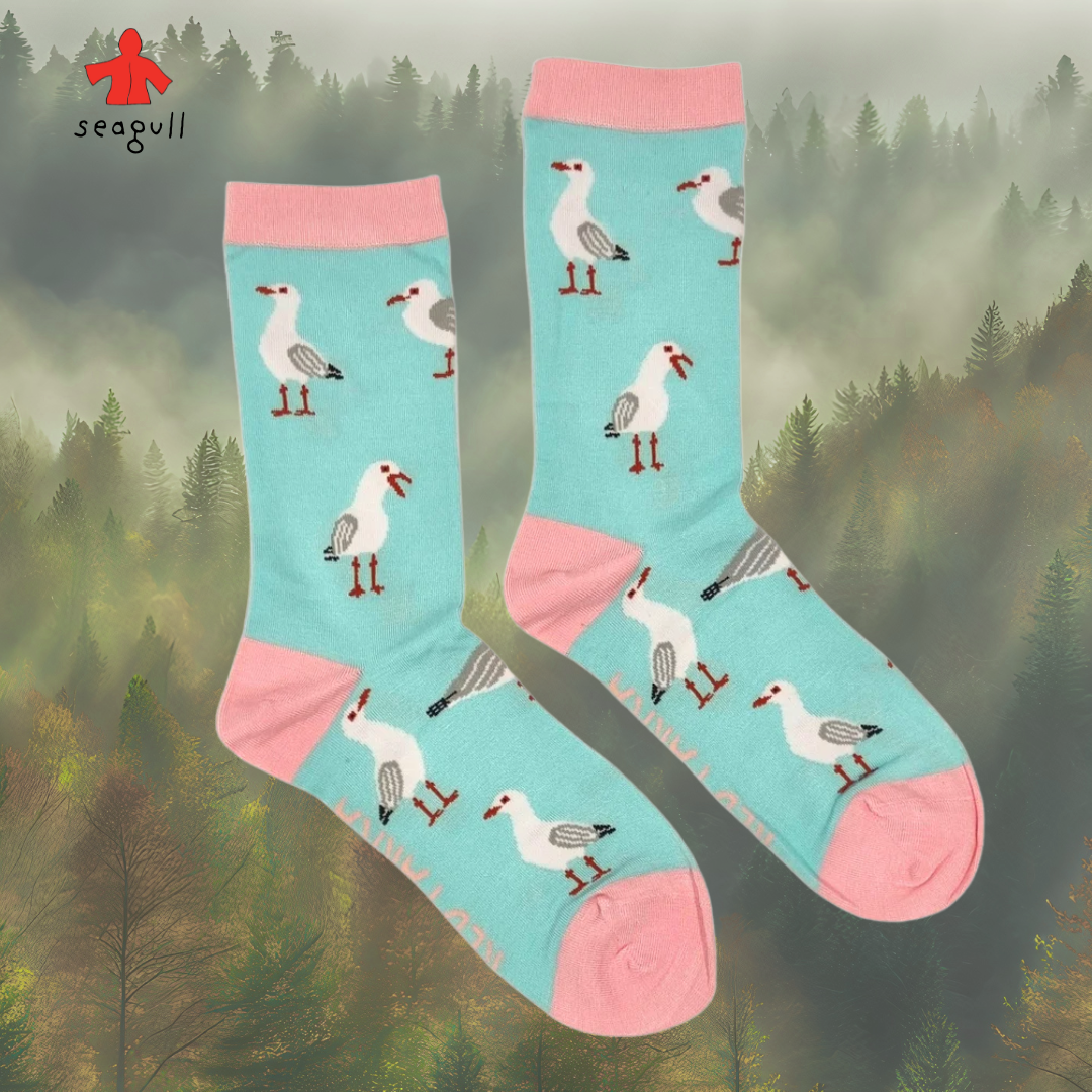 socks seagull.png