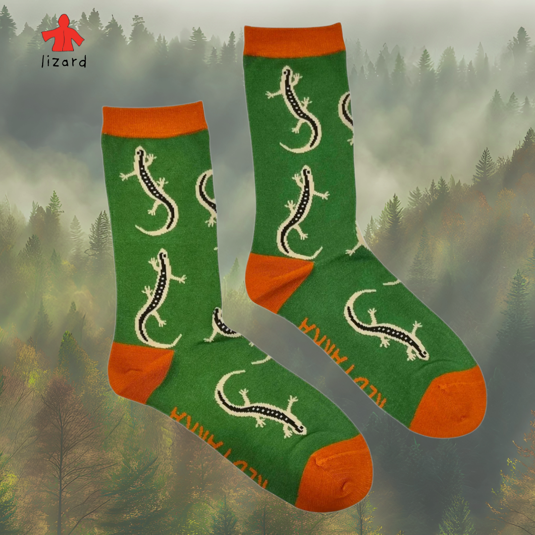 socks lizard.png