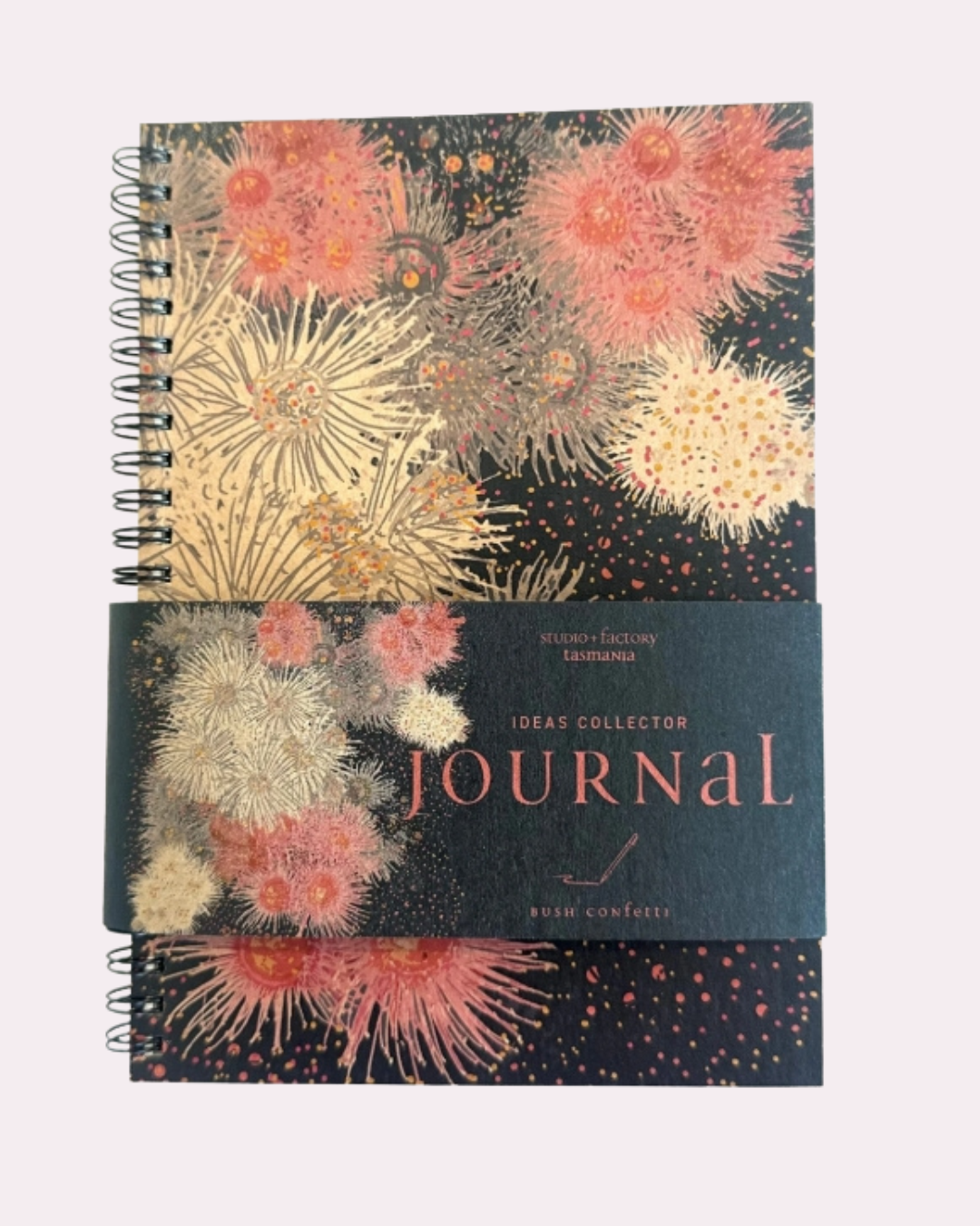 SQ journals (8).png