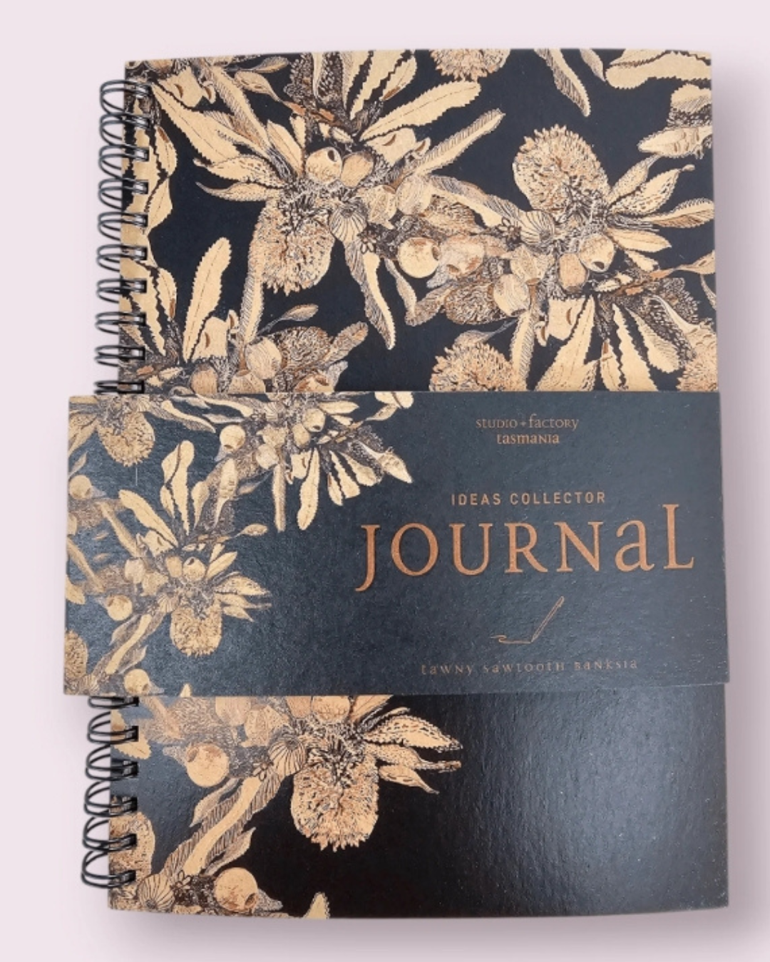 SQ journals (3).png