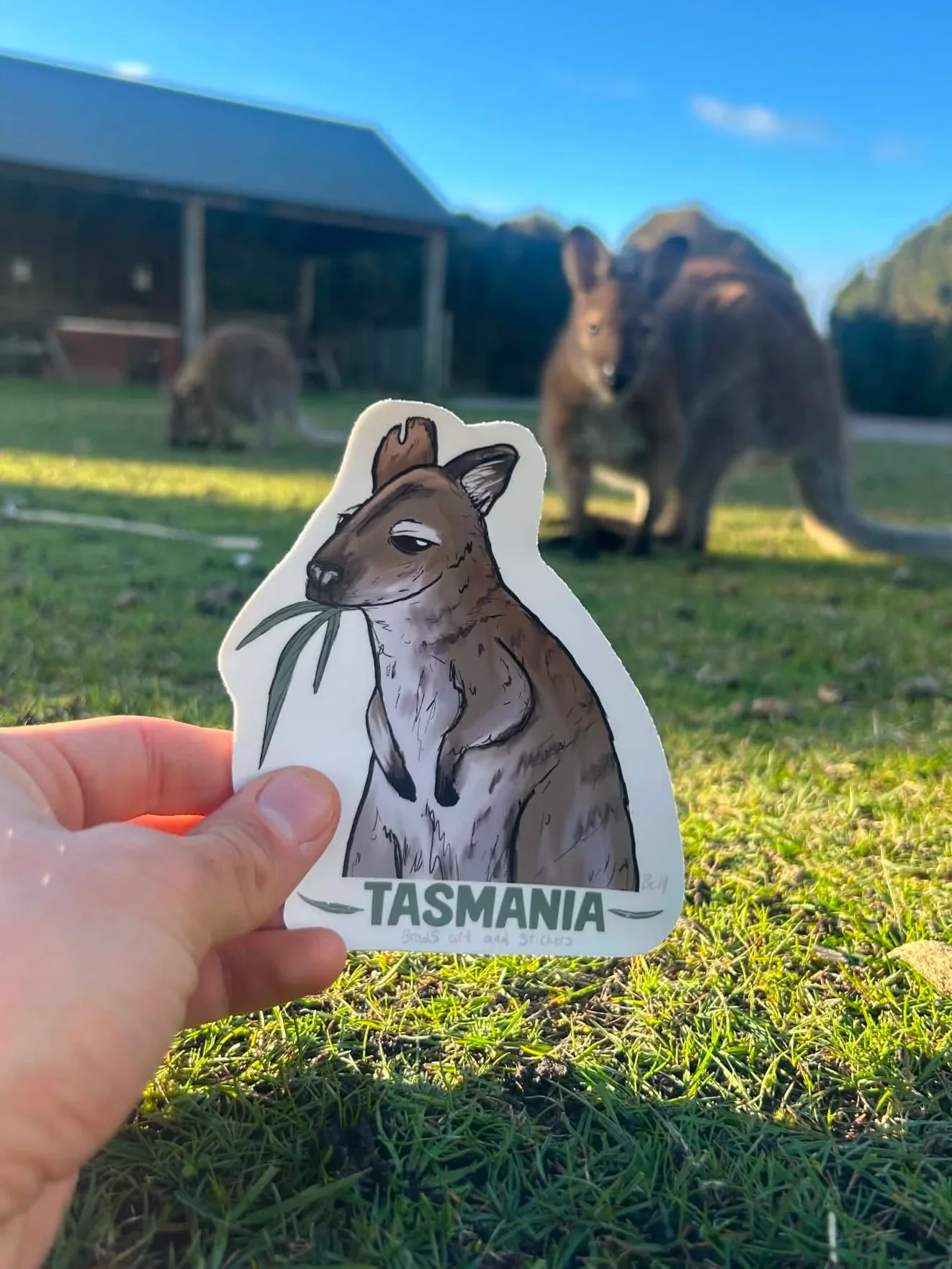 att.dCAqAqvdpVoje3Xw9NkVhLysU4ZkDH6i8lJm8aVYdIU.webp