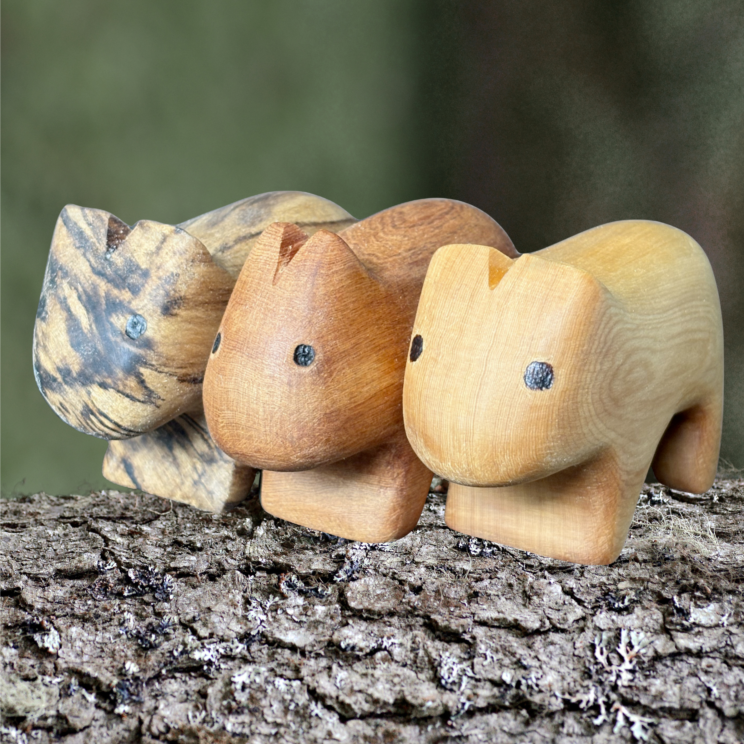 woodcraft adventures (4).png