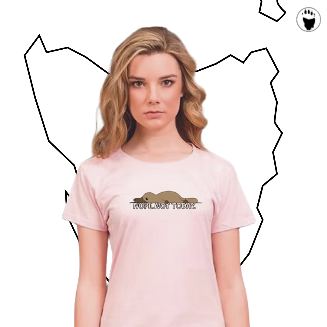 Nope Not Today shirts (2).png