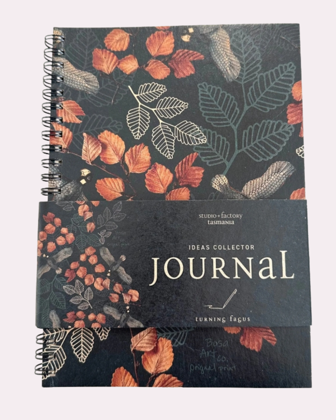 SQ journals (5).png
