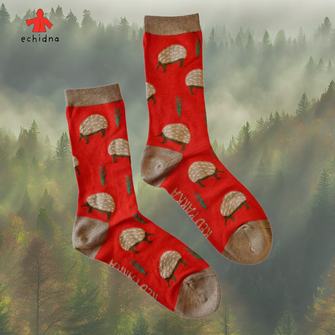 socks echidna.png