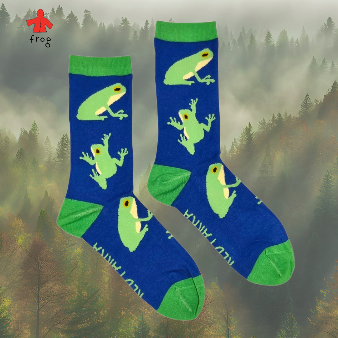 socks frog.png