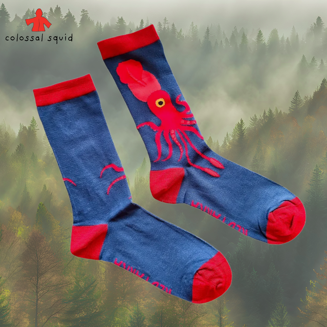 socks squid.png
