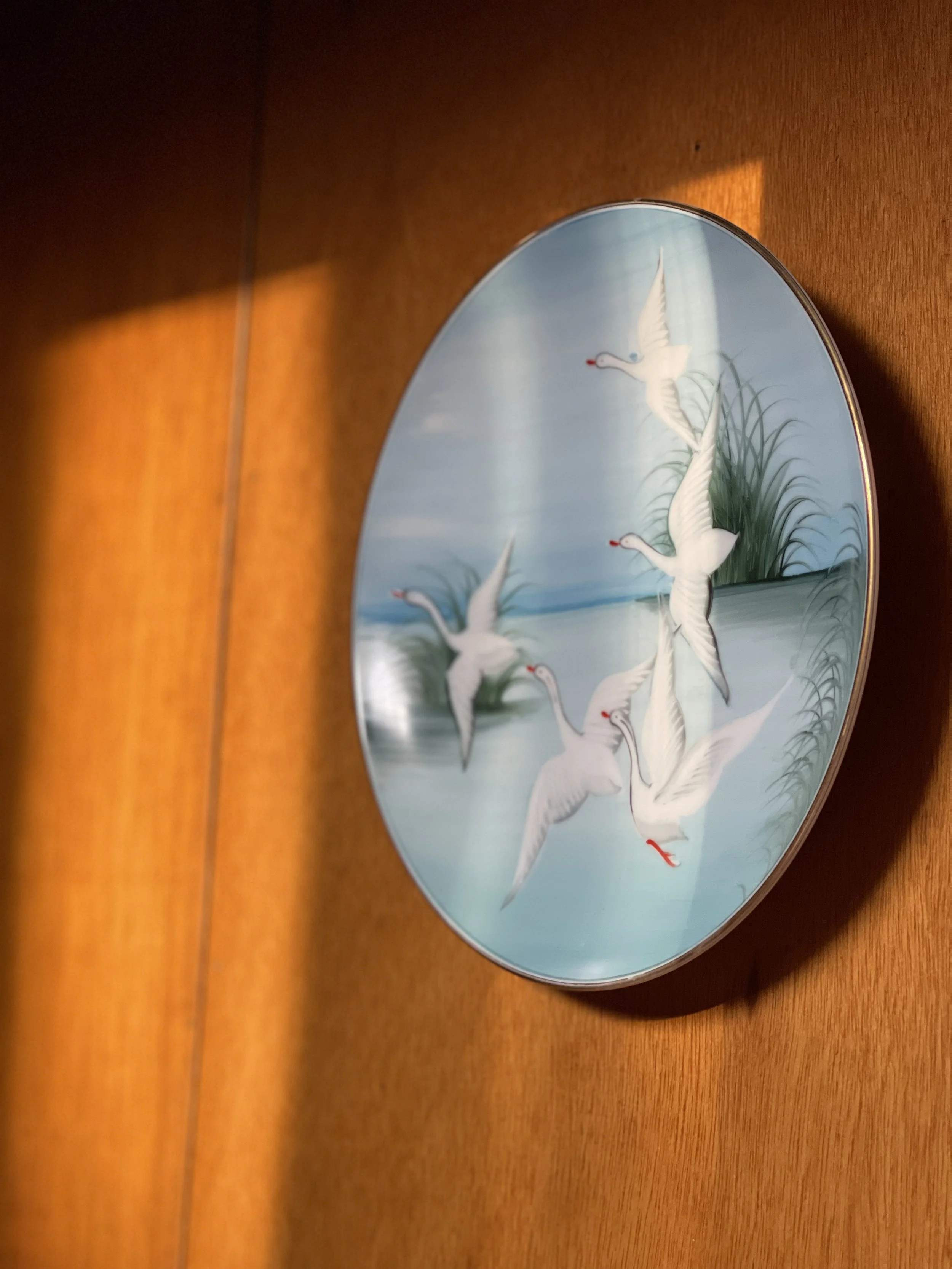 hand painted swan plate