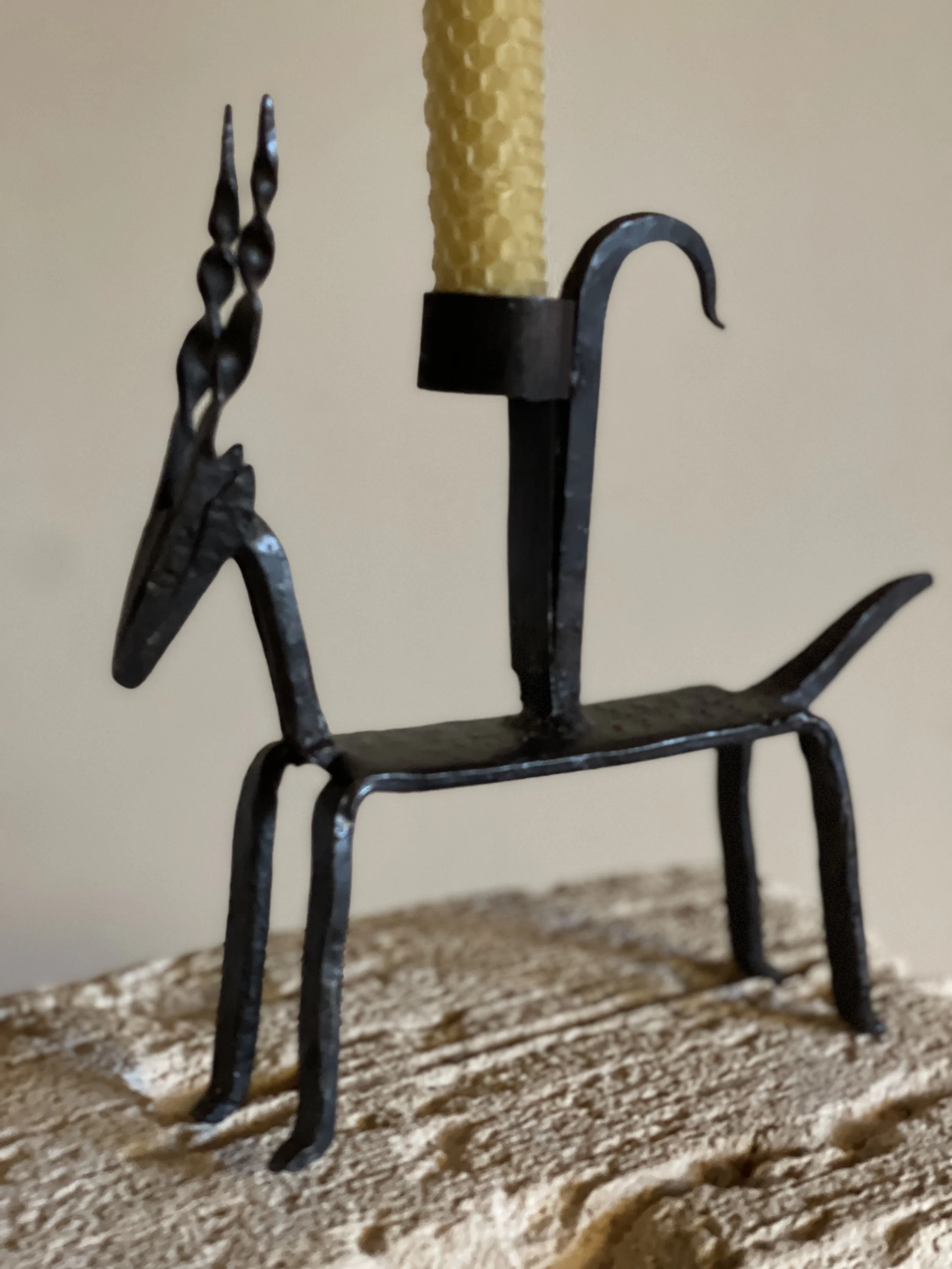 IMG_5519 2.jpg