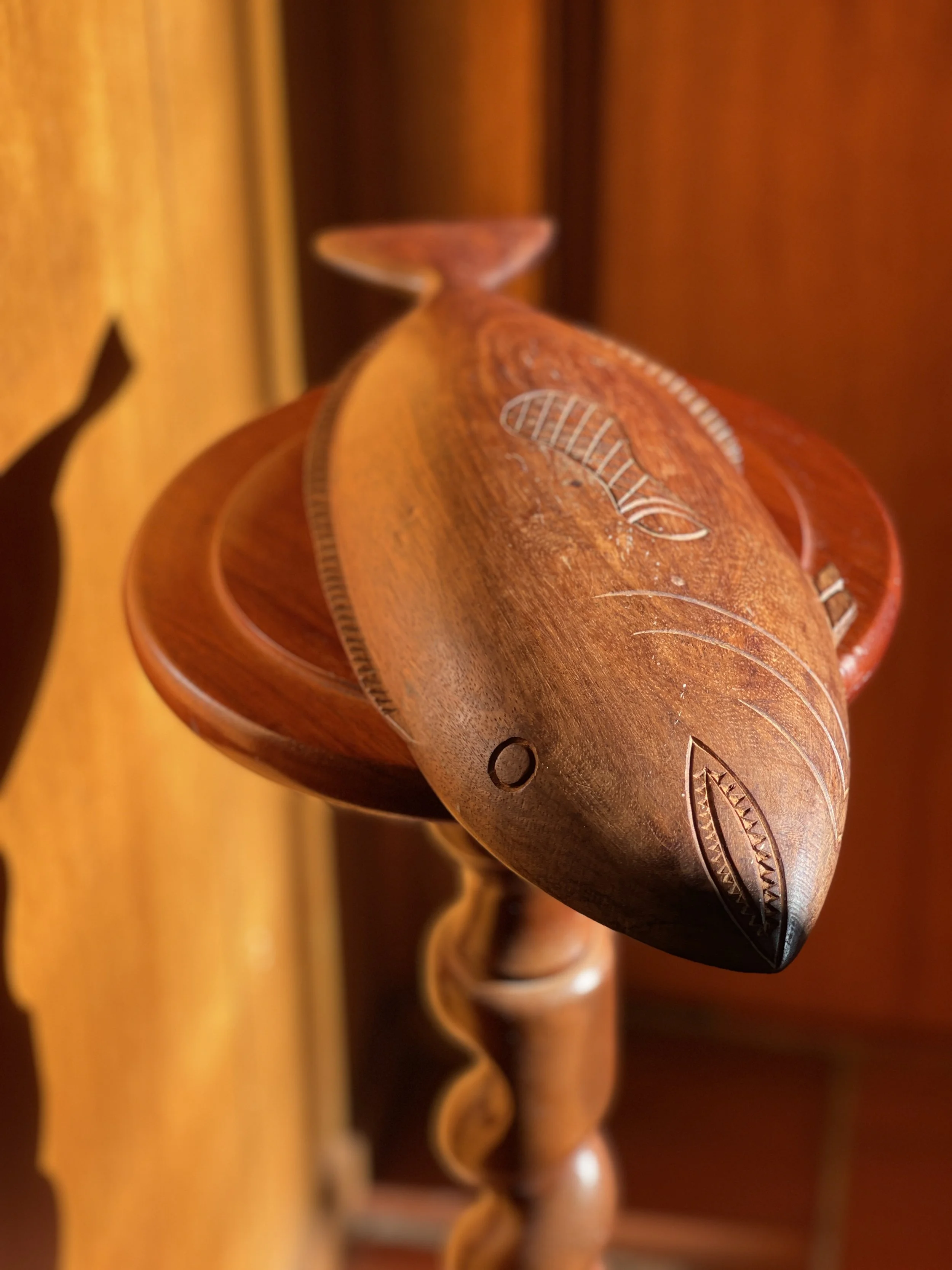 IMG_1309.jpg