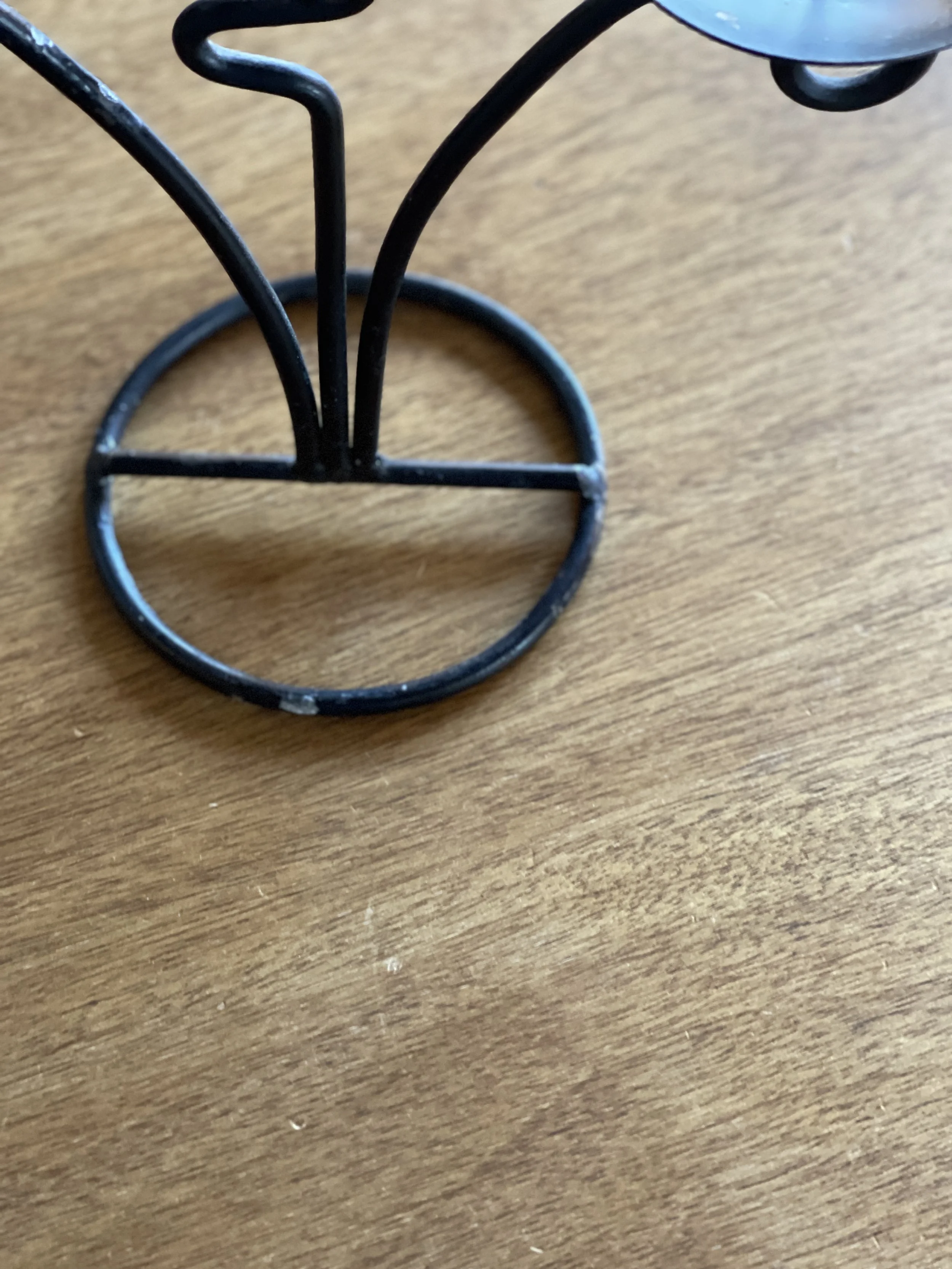 IMG_3067.jpg
