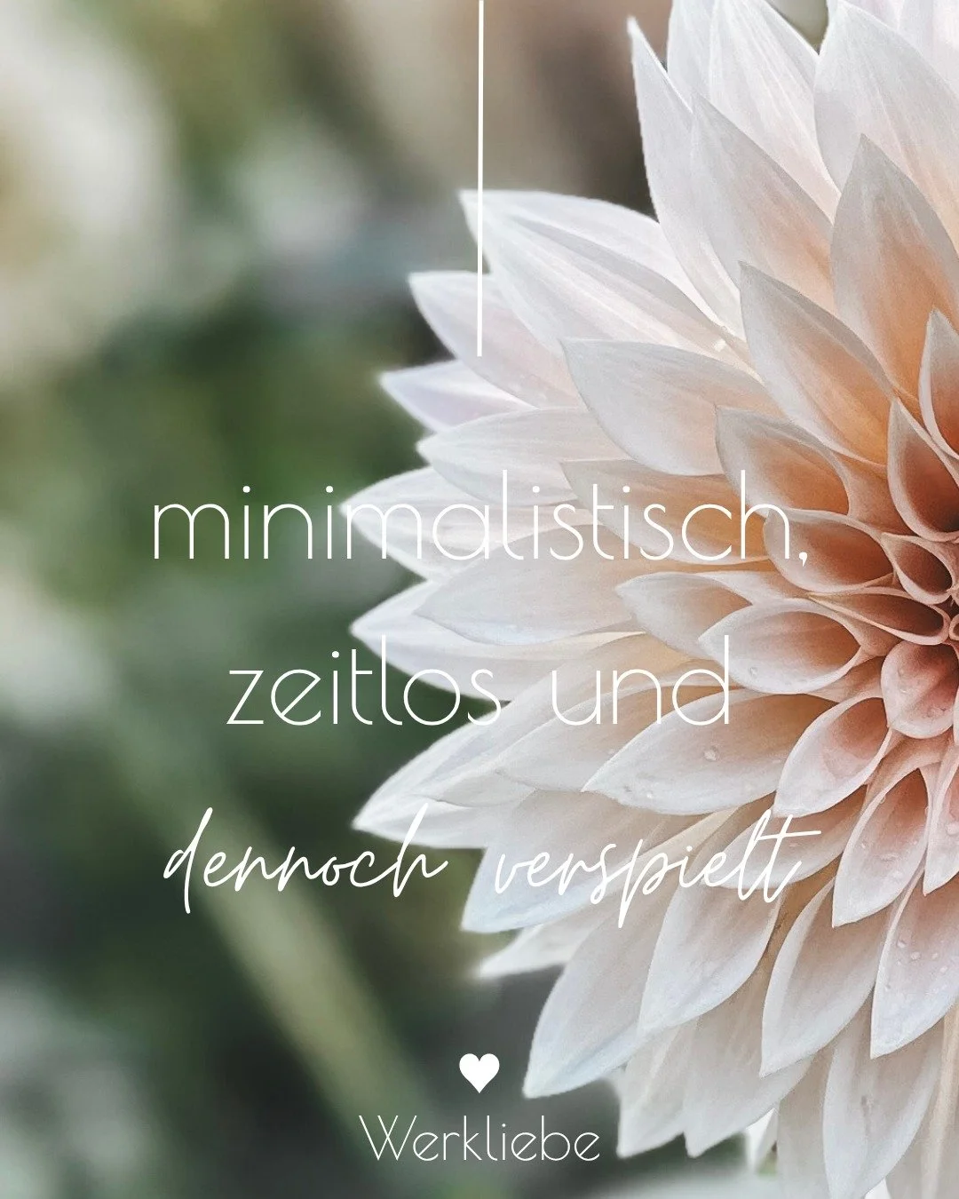 Genau so mag ich die Kleidung f&uuml;r meine Kinder!

Schlichte Designs mit Fokus auf Funktionalit&auml;t und Qualit&auml;t. Bequeme Kleidungsst&uuml;cke mit viel Bewegungsfreiheit f&uuml;r allt&auml;gliche Abenteuer, jedoch auch passend f&uuml;r spe