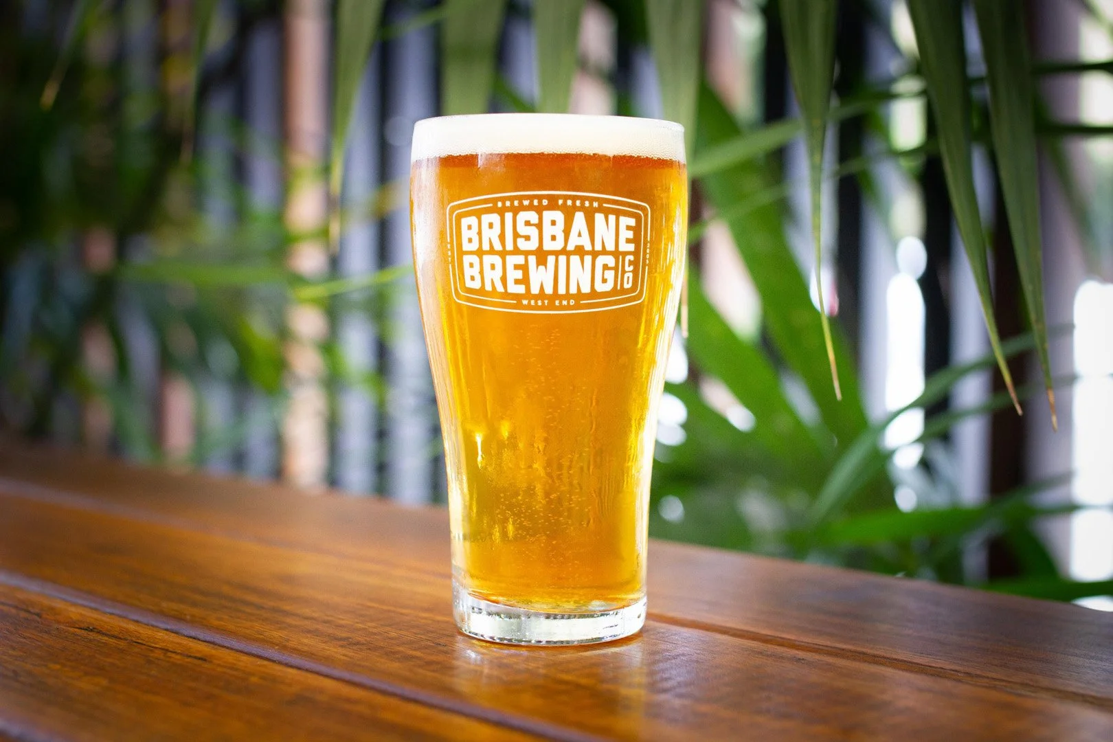 brisbane_brewing_beer_03.jpg