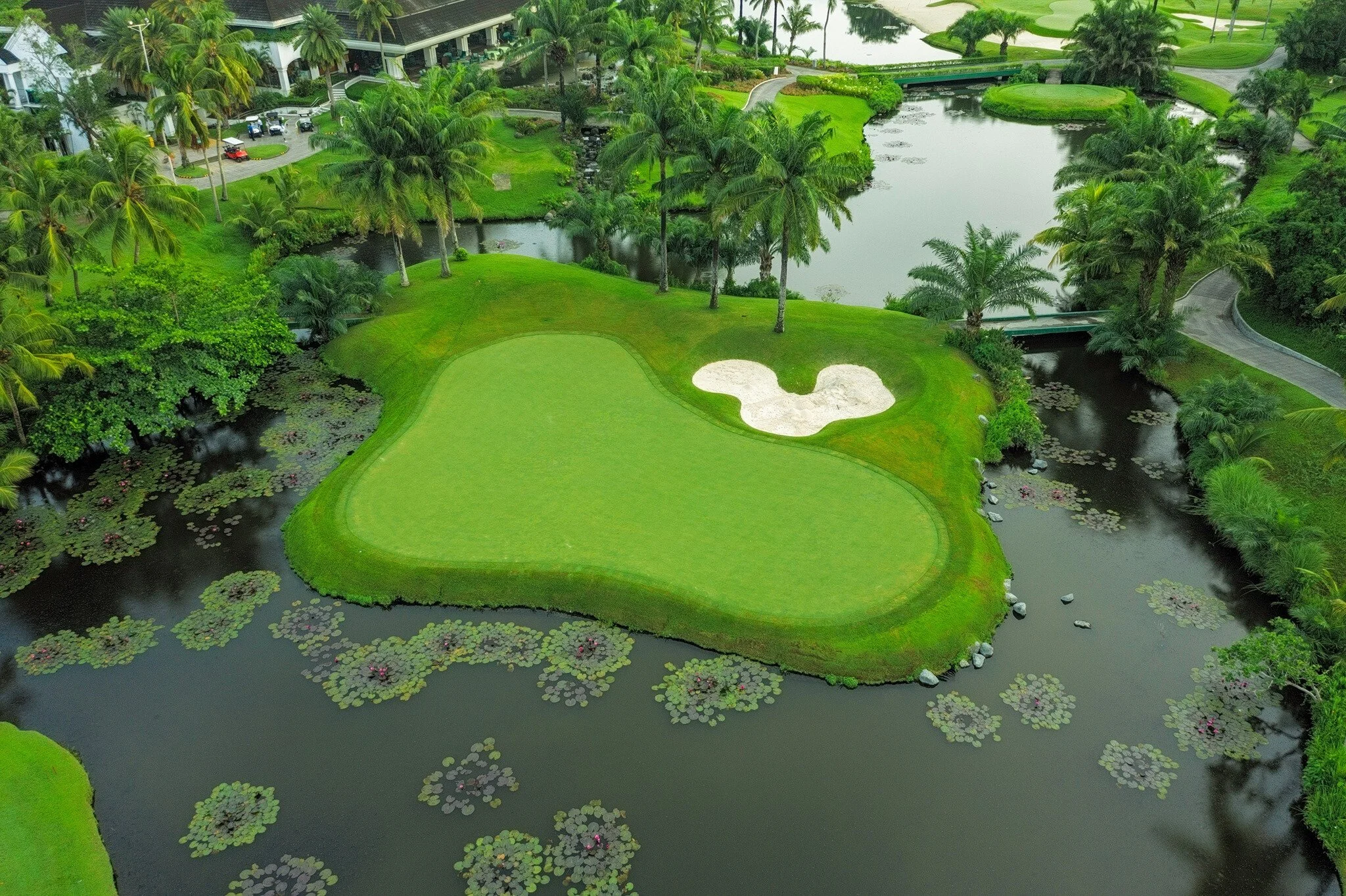 southwoods in water.jpg