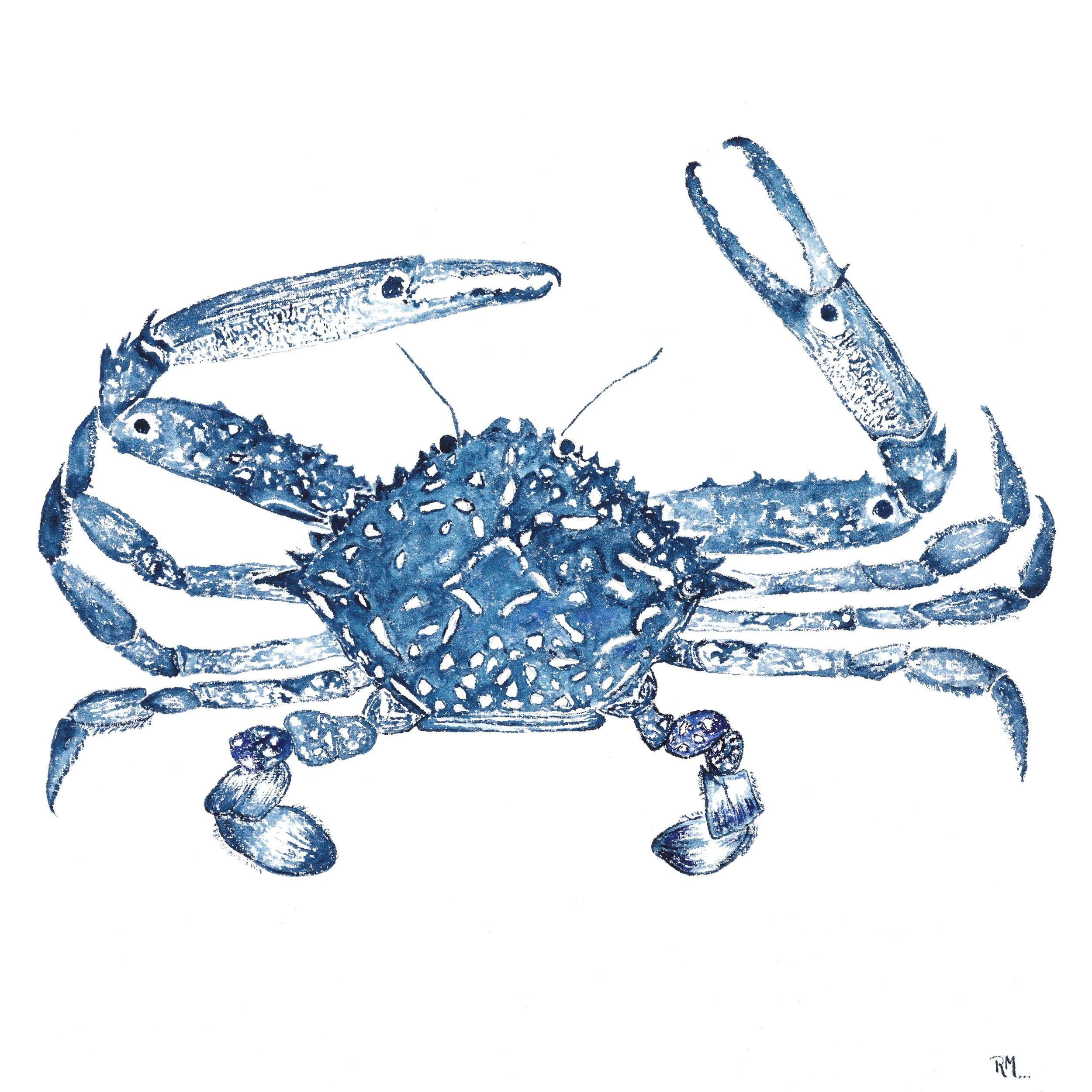 Blue Manna Crab