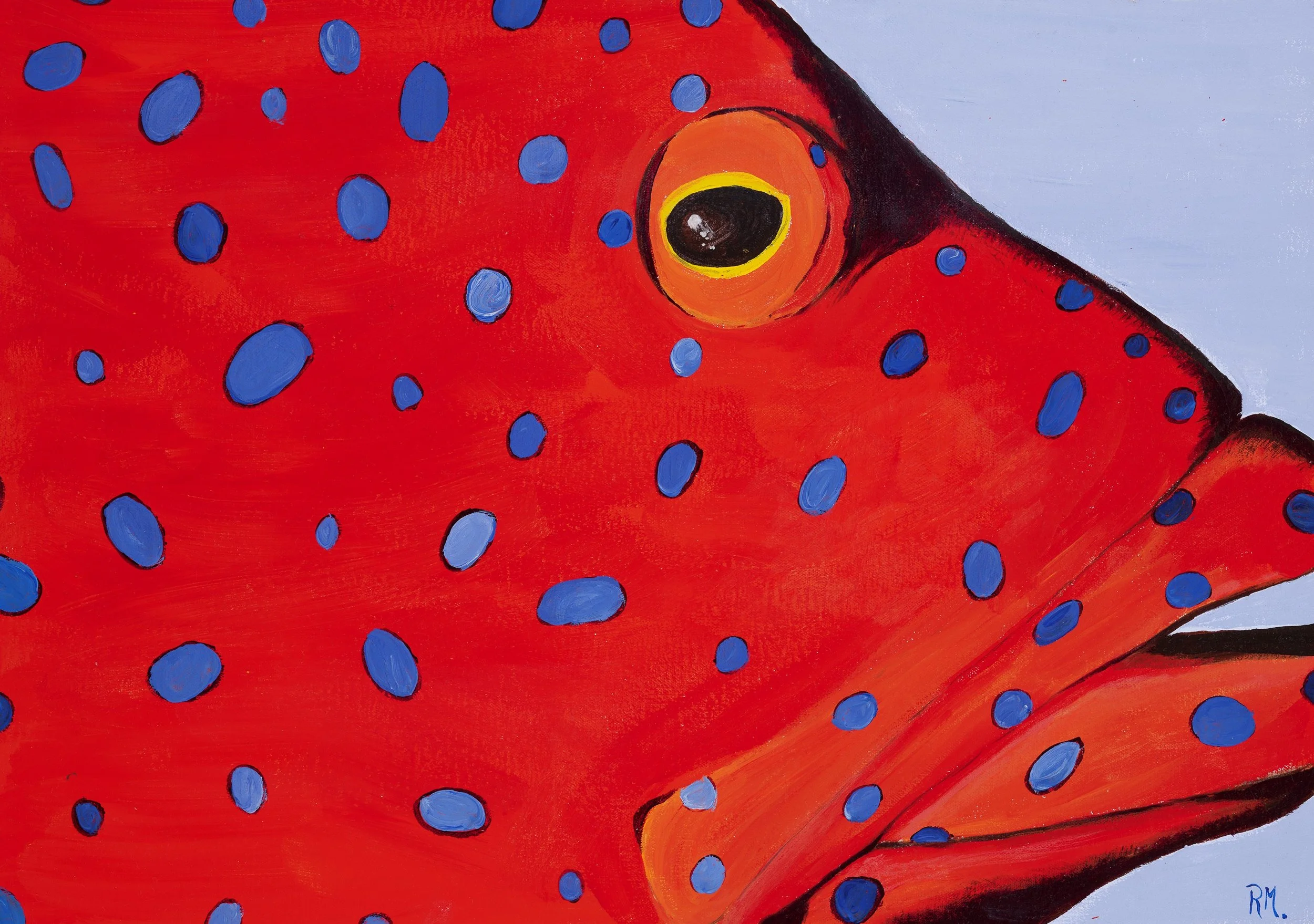 Mr Coral Trout