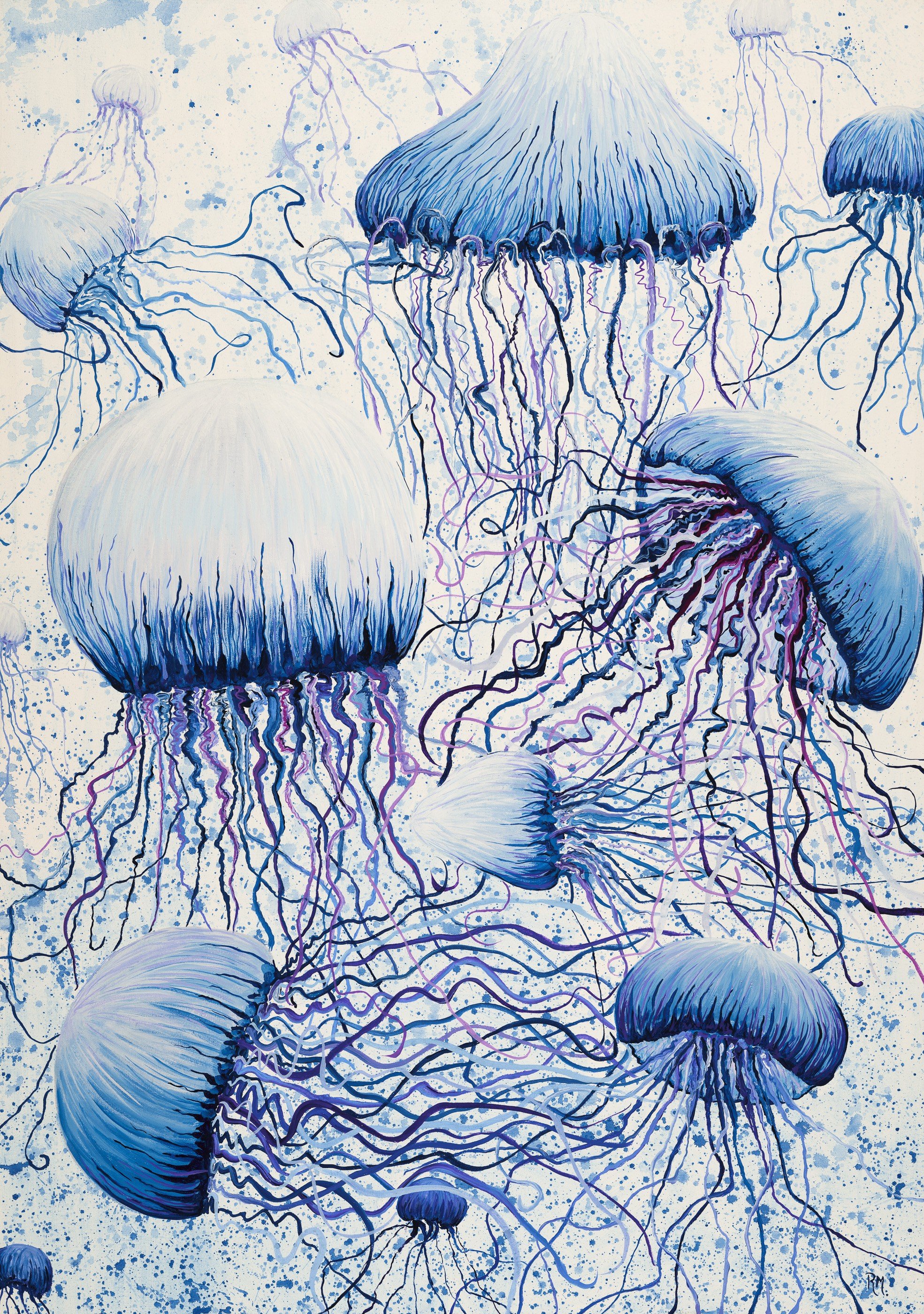 Jellyfish  Tangles.jpg