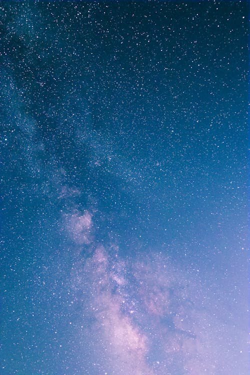 pexels-photo-3934512.jpeg
