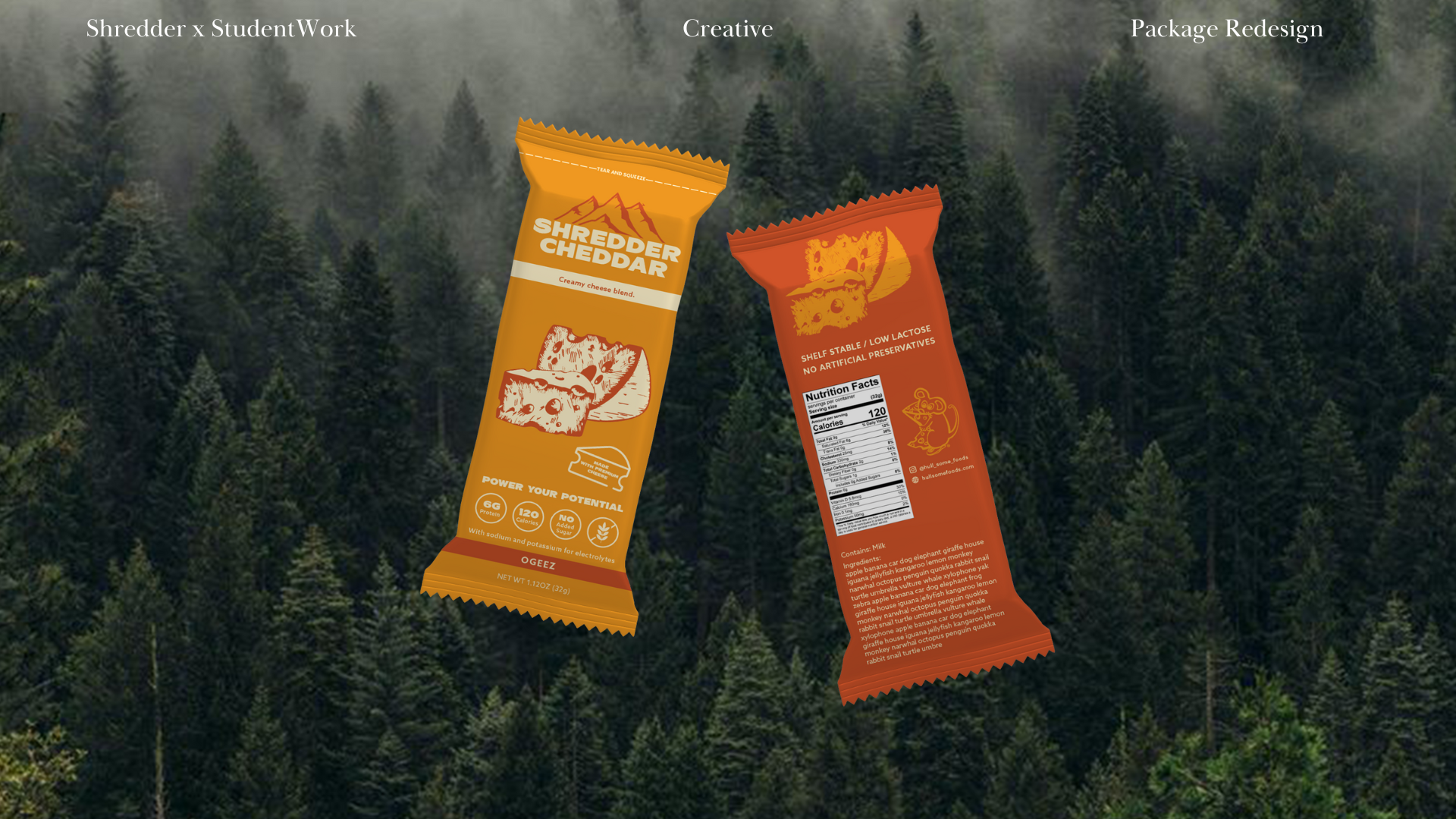 Copy of Shredder Cheddar 1st client presentation (21).png