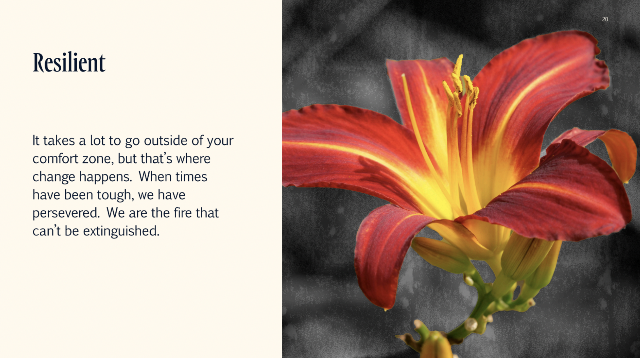 Screen Shot 2025-03-20 at 12.24.31 AM.png