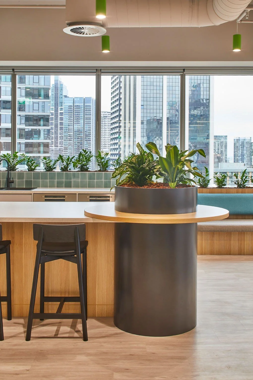 Interior of a modern office space with large windows displaying a city skyline, featuring a large plant in a black cylindrical planter on a round wooden table, a bar-style counter with black chairs, and green plants on the windowsill.