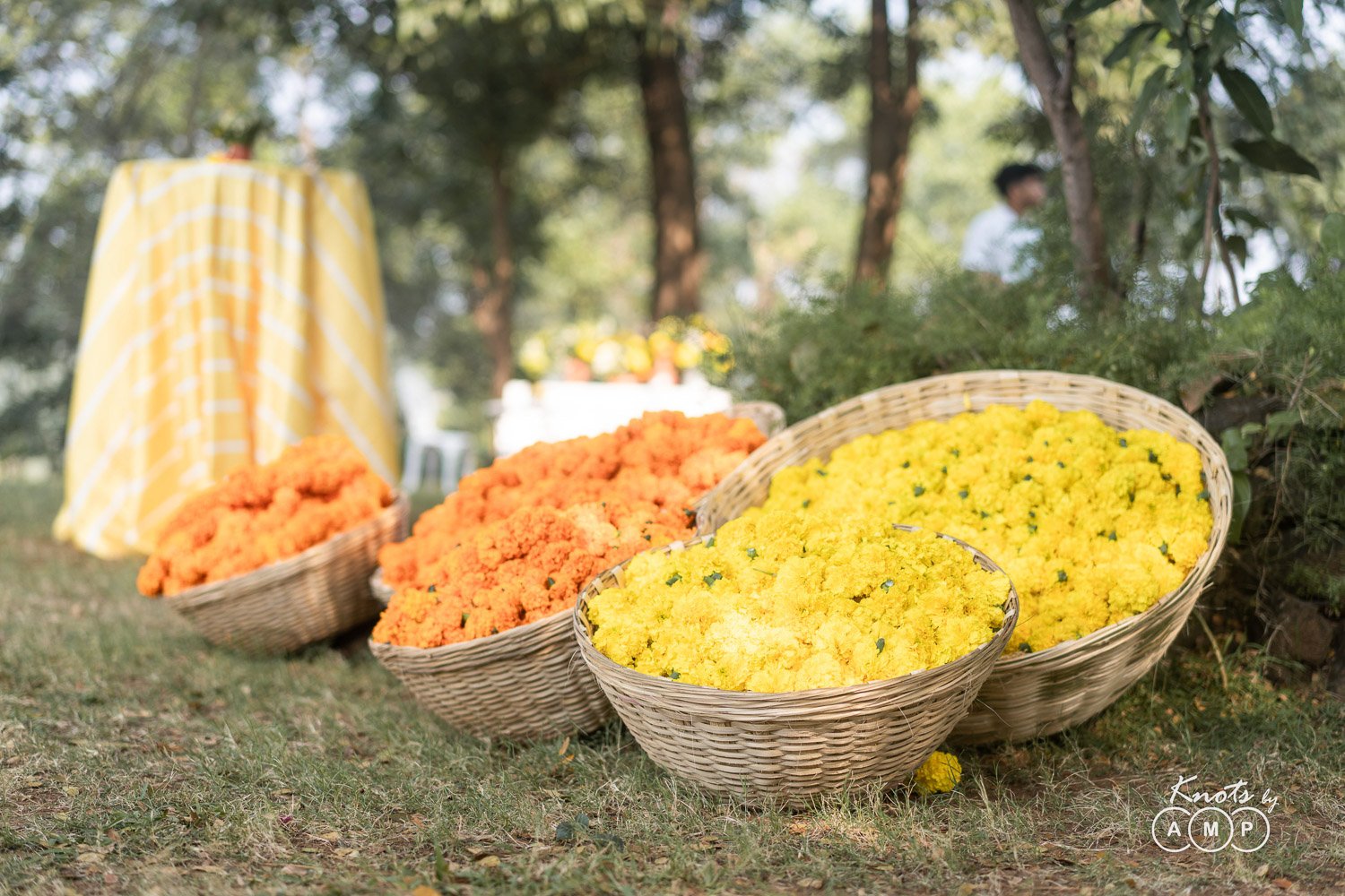 Wedding-at-Oleander-Farms-Karjat-4.jpeg