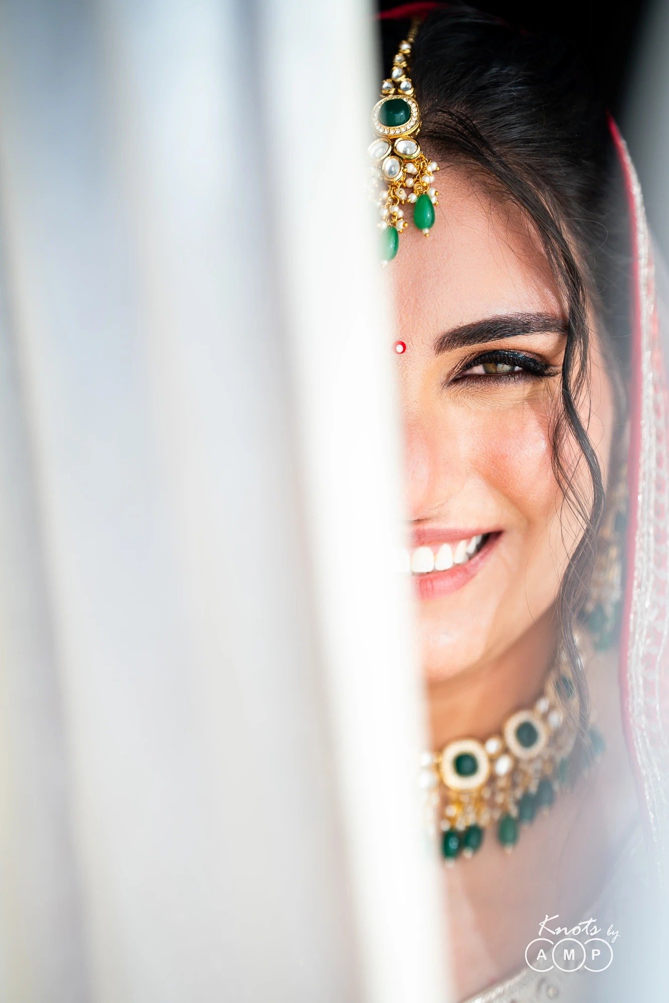 Wedding-at-Grape-County-Nashik-09260.jpeg