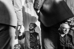 thumbs_DSC_9984.jpeg