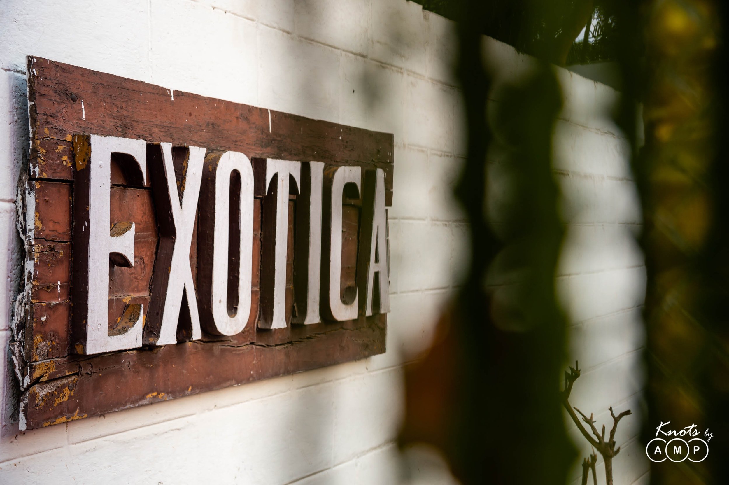 Wedding-at-Exotica-Retreat-Thane-1.jpeg