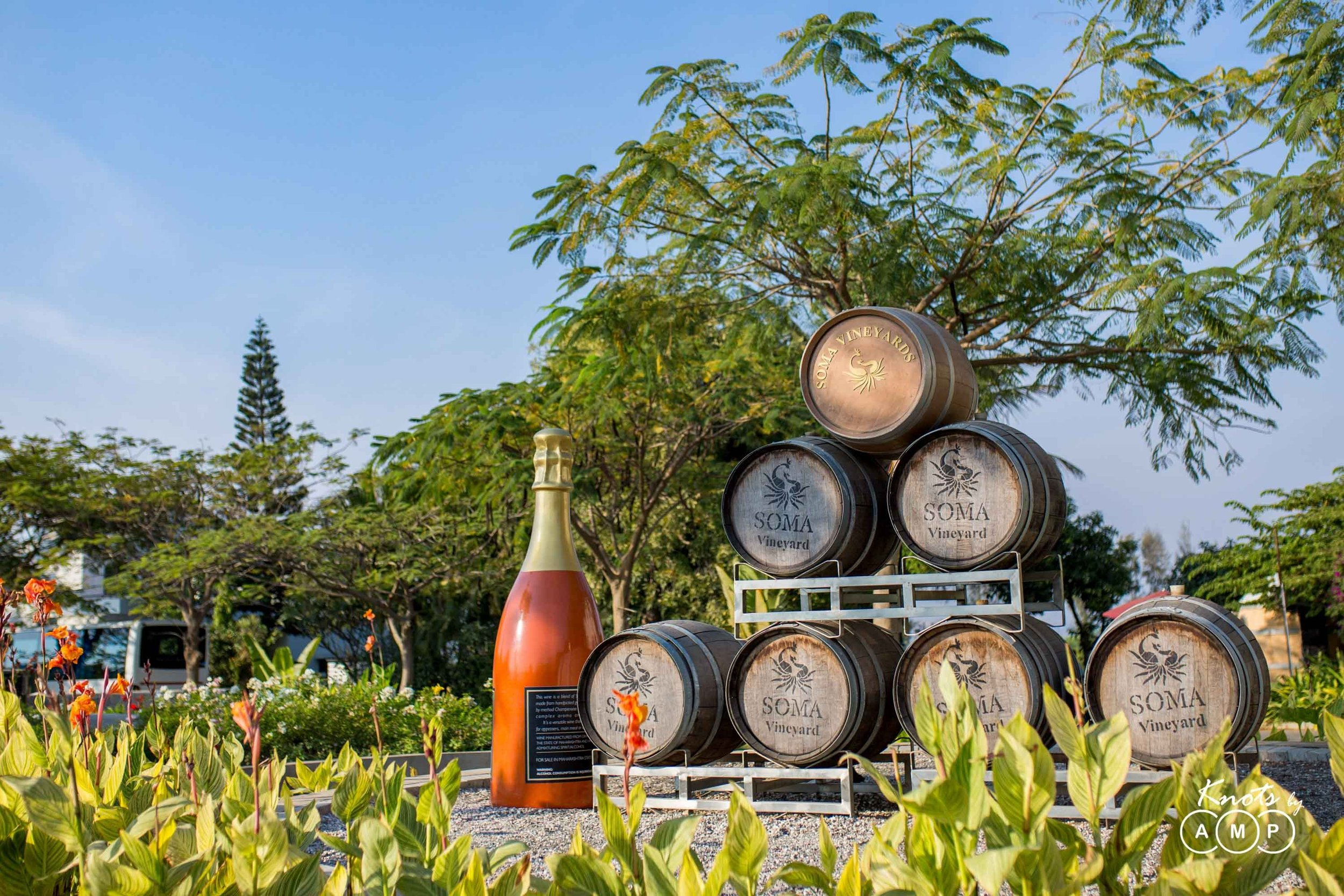 Wedding-at-Soma-Vineyards-Nashik-2.jpeg