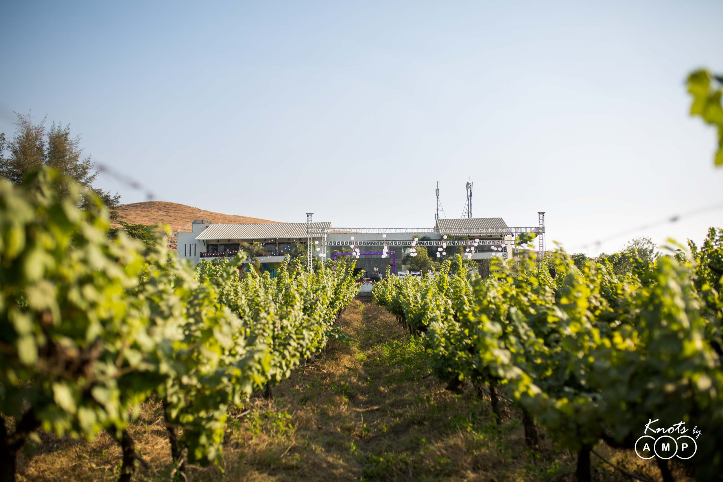 Wedding-at-Soma-Vineyards-Nashik-3.jpeg